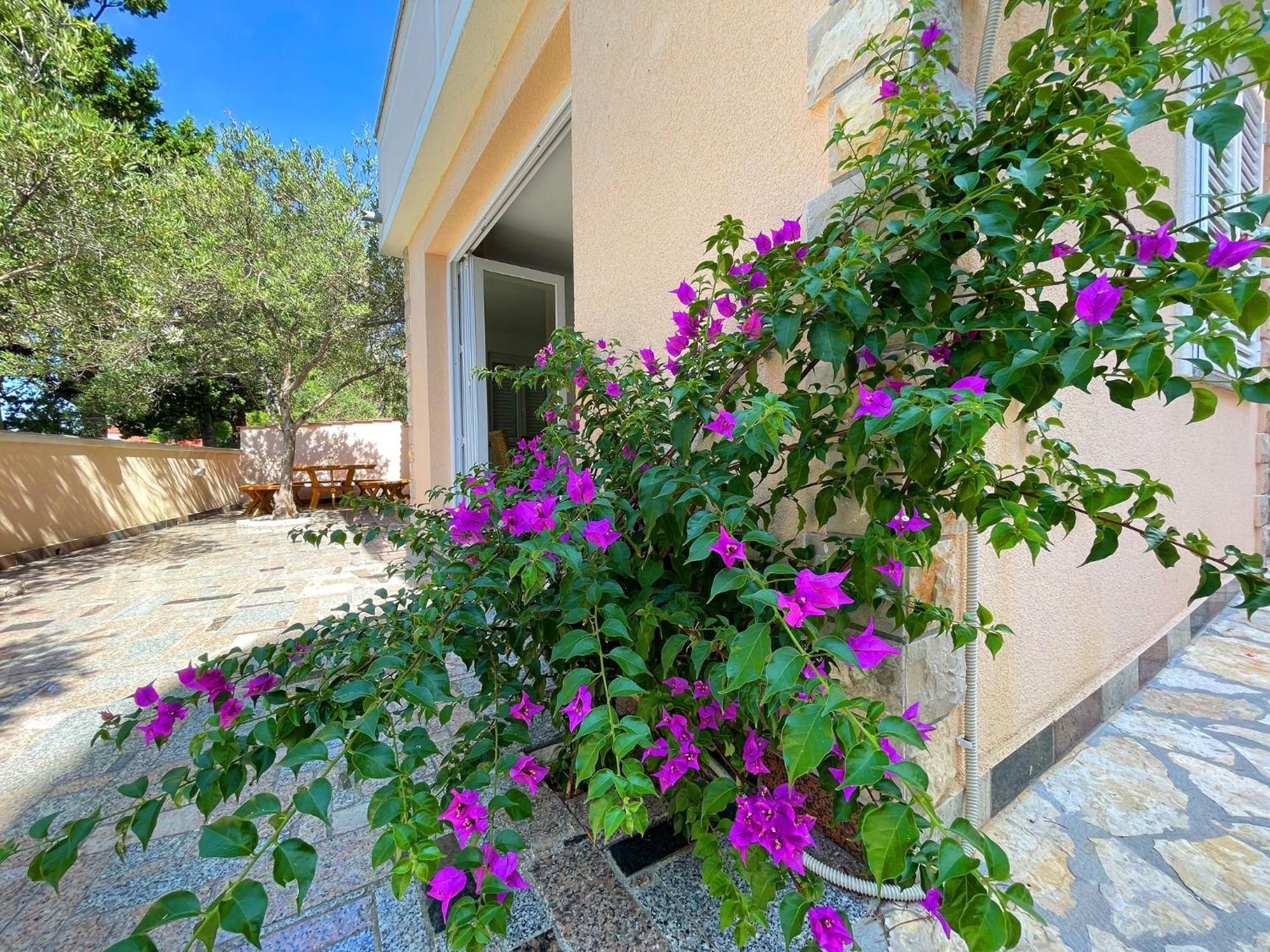 Villa Olivija-Direkt Am Strand! Stara Novalja Exterior foto